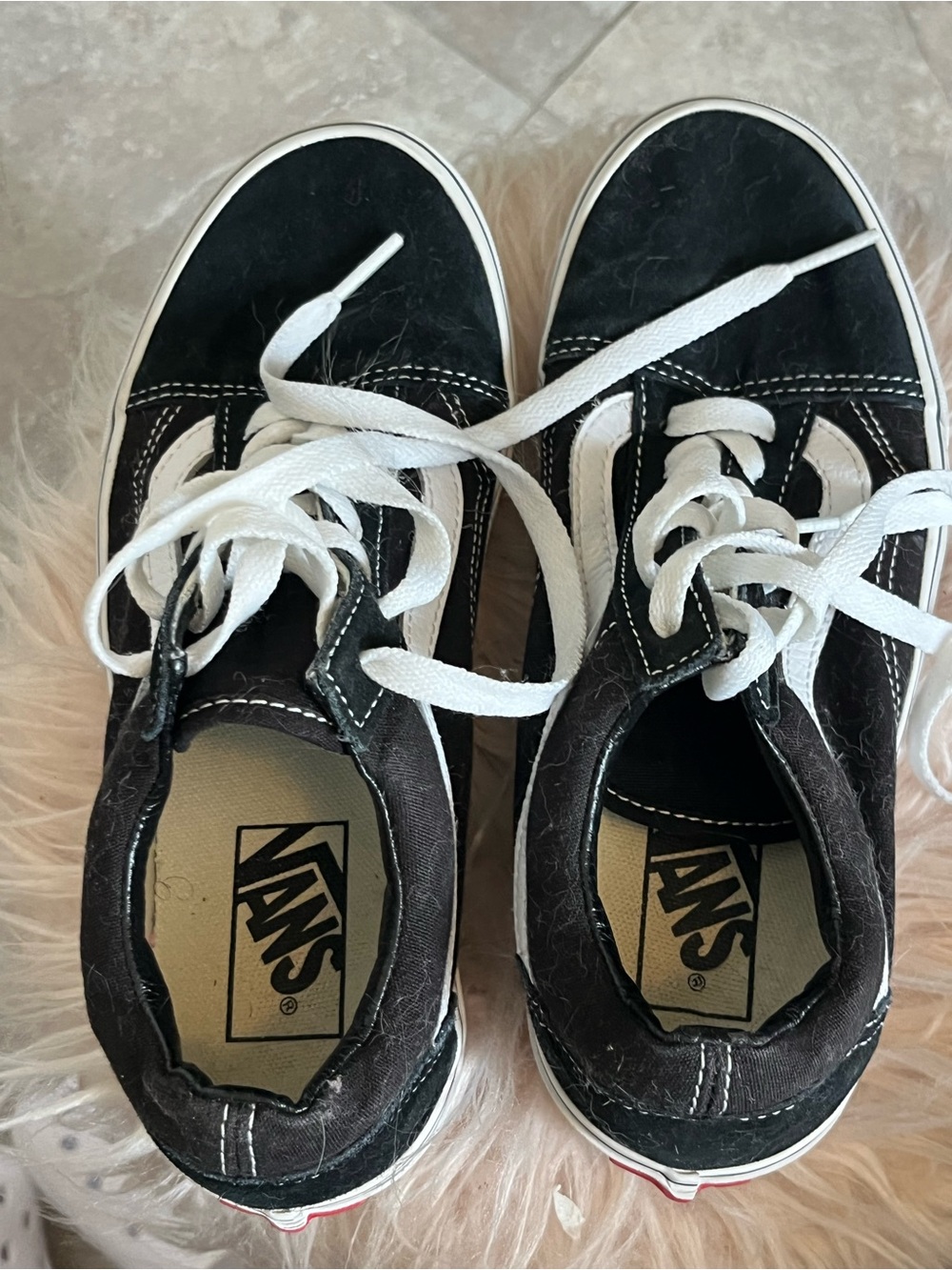 Vans Black and White Canvas Low-Top Sneakers